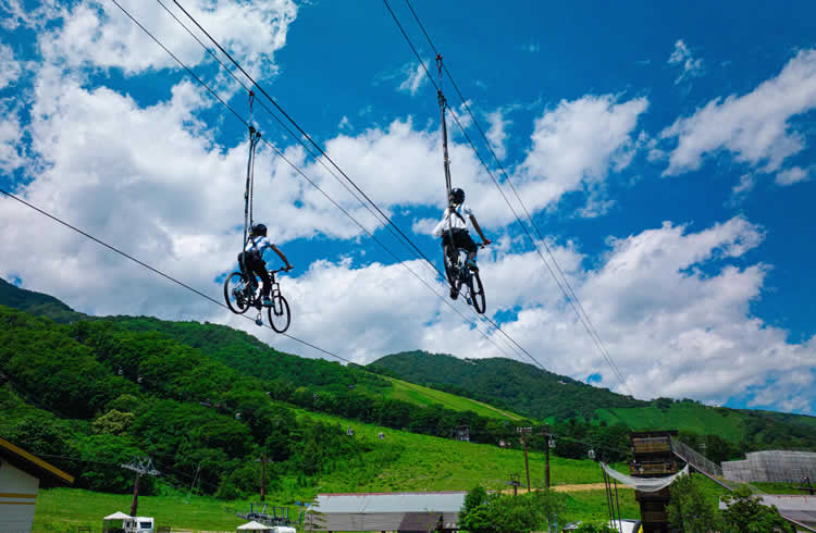 つがいけマウンテンリゾート　つがいけWOW!　「コギダス」