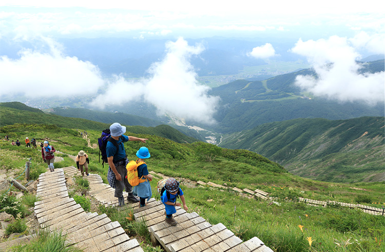 八方尾根自然研究路　木道が整備された歩きやすいコース