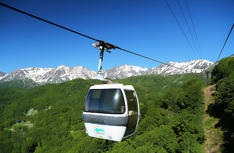 つがいけマウンテンリゾート　栂池自然園　山麓の絶景も楽しめるゴンドラリフト「イヴ」