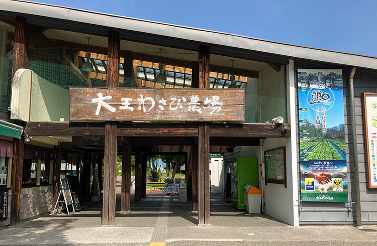 大王わさび農園　日本一の規模を誇るわさび園