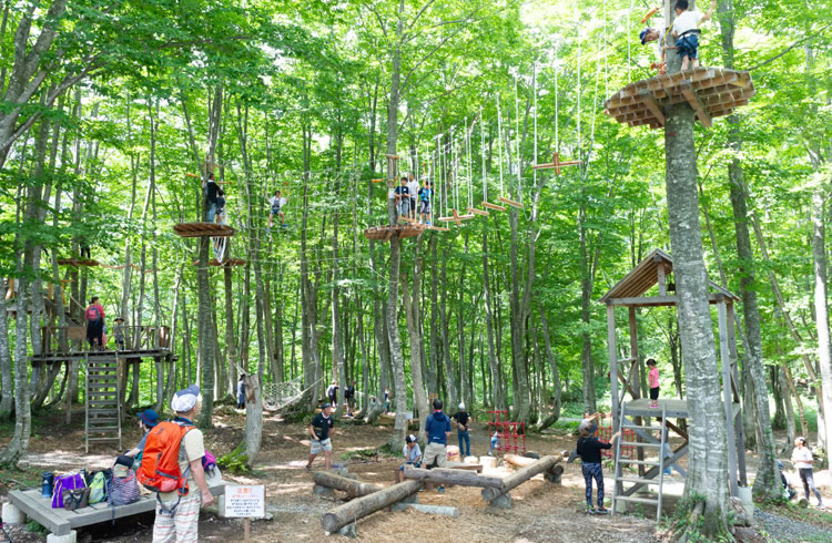 Hakuba47 MOUNTAIN SPORTS PARK　冒険の森