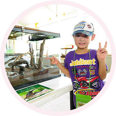 世界の昆虫展(入場券)