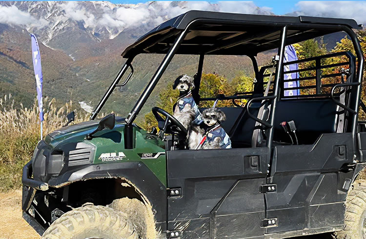 ガイド付バギークルーズ