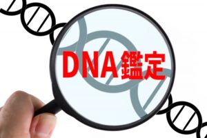 DNA鑑定と妻の浮気・・・